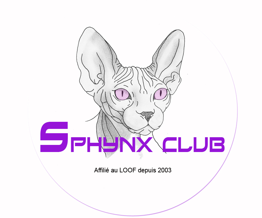 sphynx club