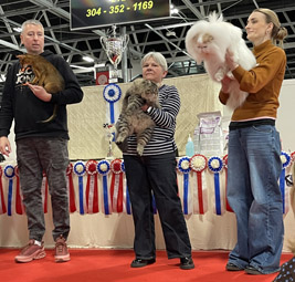 logo cha cest paris 2