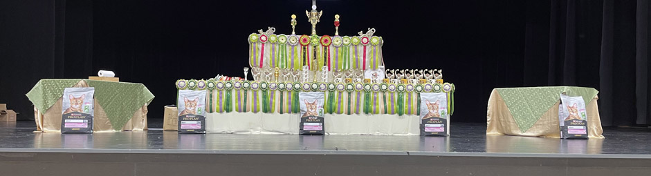 213podium